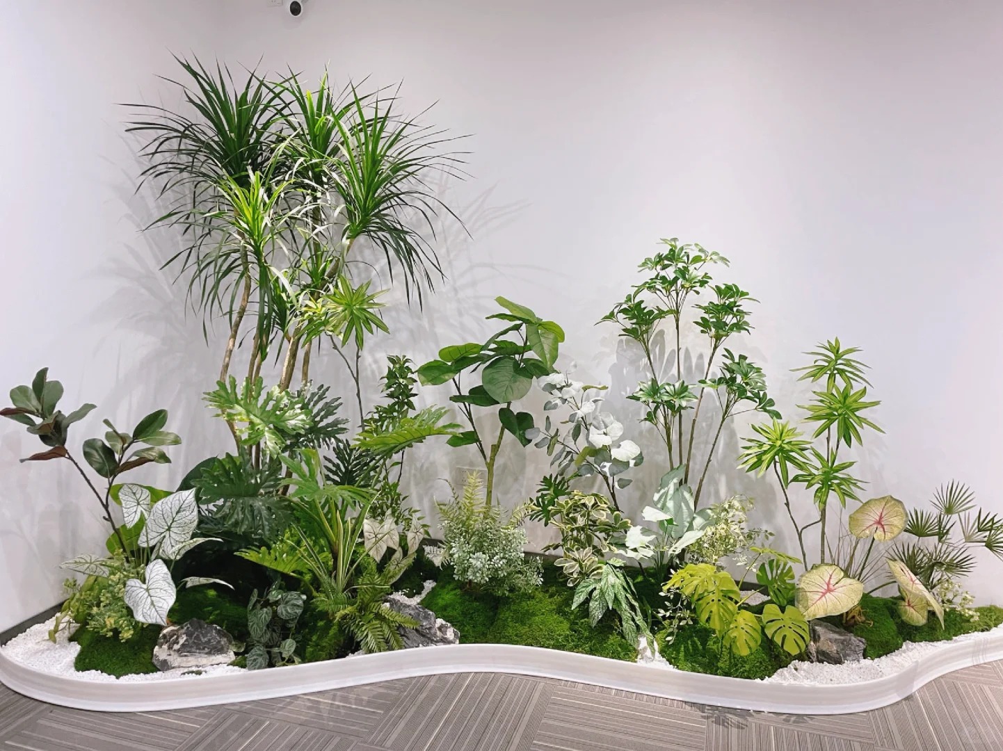 专业余姚盆景租摆,打造别样景观盛宴